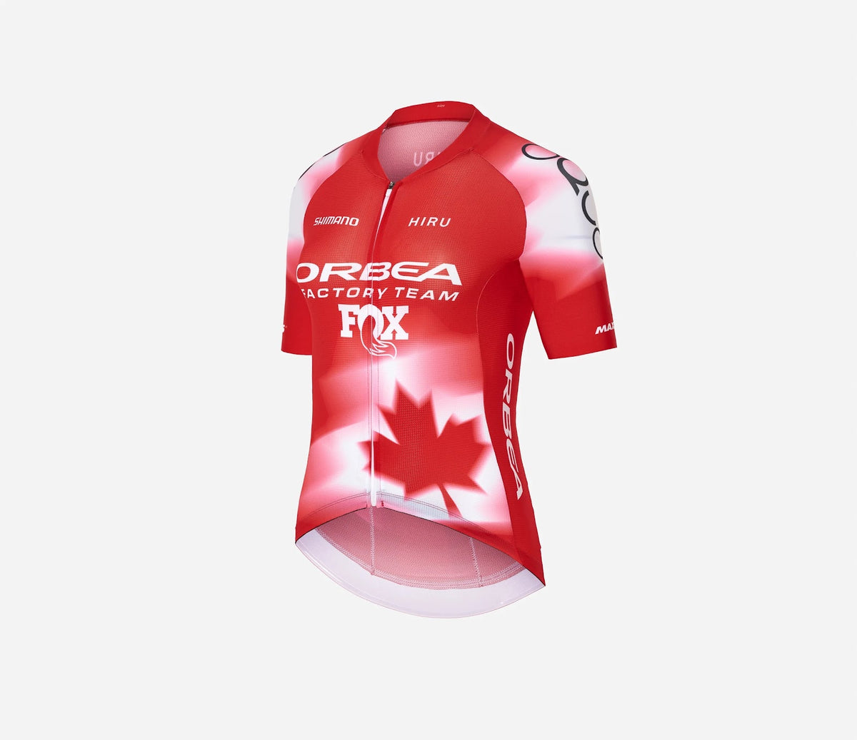 TF28466P