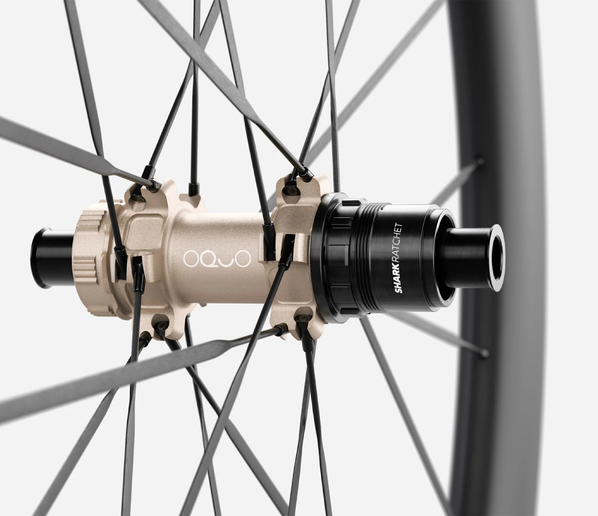O1960040