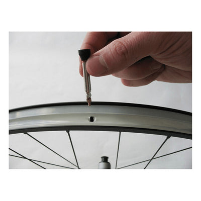 RP-44400-2
