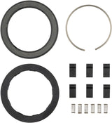 Zipp ZR1 Hub Pawl/Spring Kit 6pcs Black