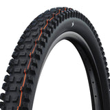 Pneu Schwalbe Albert Gravity Pro HS641 Evolution Radial Ultra Soft TLR Souple Noir